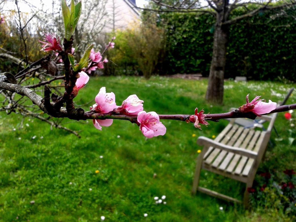 Maison La Chapelle Bed & Breakfast Екстериор снимка